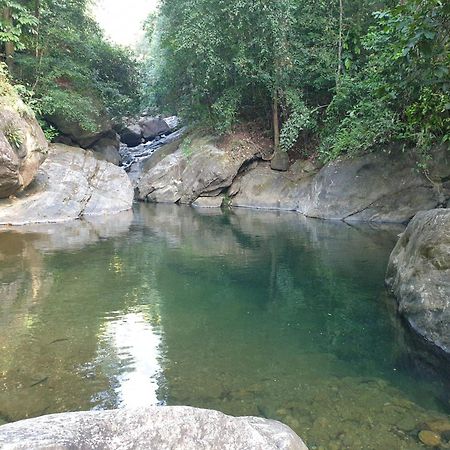 Gallene Gala Nature Resort كتولغالا المظهر الخارجي الصورة