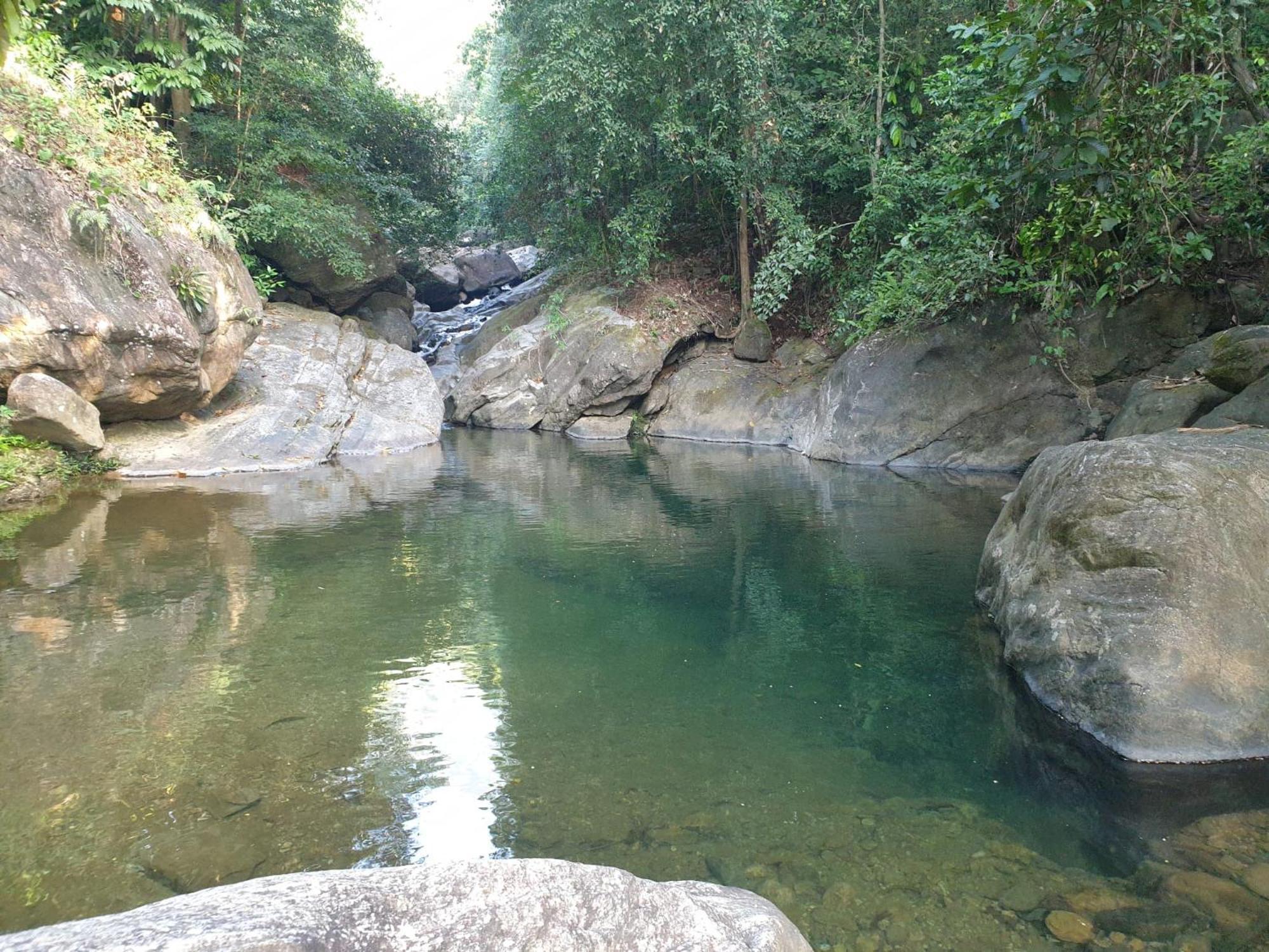 Gallene Gala Nature Resort كتولغالا المظهر الخارجي الصورة