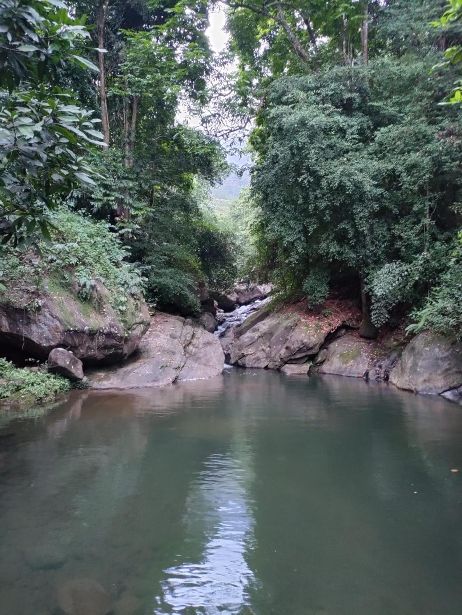 Gallene Gala Nature Resort كتولغالا المظهر الخارجي الصورة