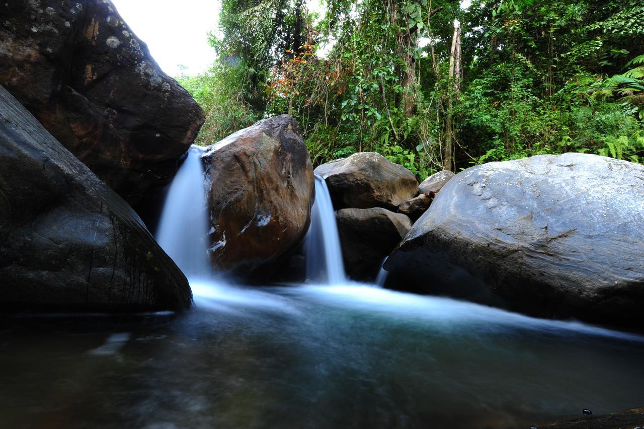 Gallene Gala Nature Resort كتولغالا المظهر الخارجي الصورة