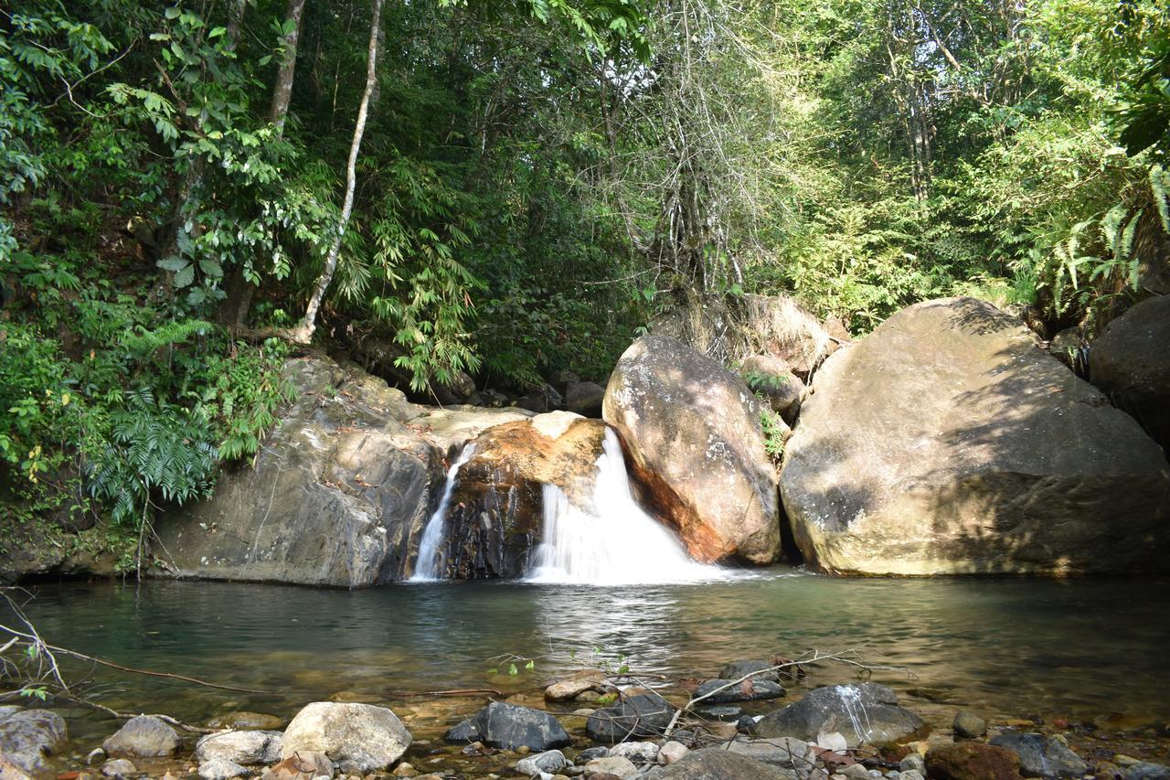 Gallene Gala Nature Resort كتولغالا المظهر الخارجي الصورة